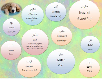 Arabic Dog Names