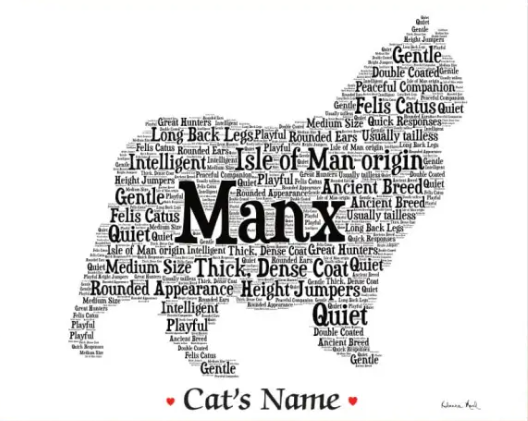 Manx Dog Names