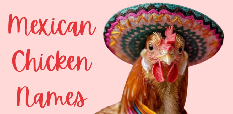 Mexican Chicken Names