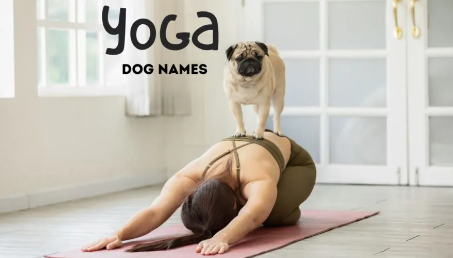 Yoga Dog Names